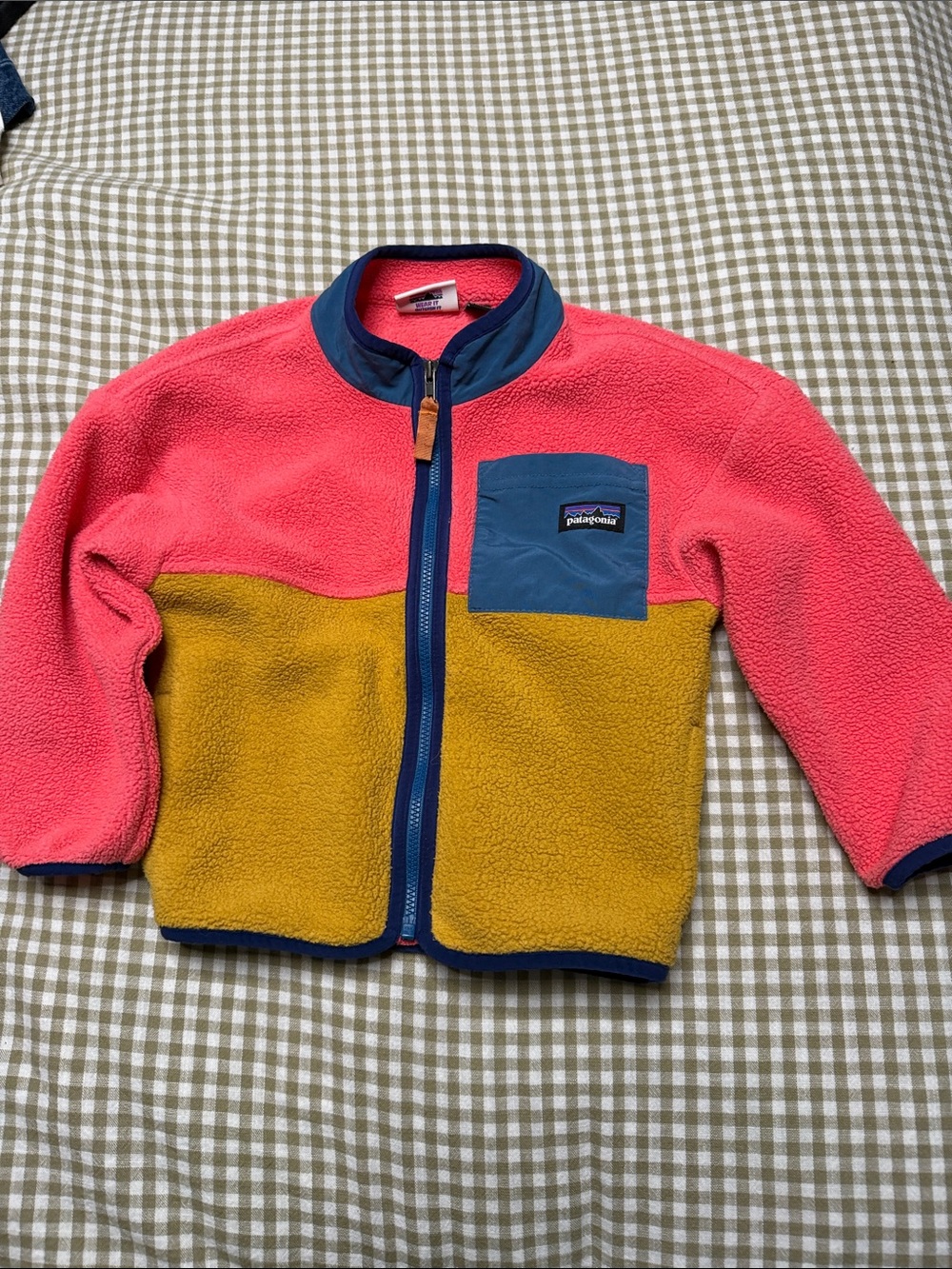 Patagonia Synchilla Fleece